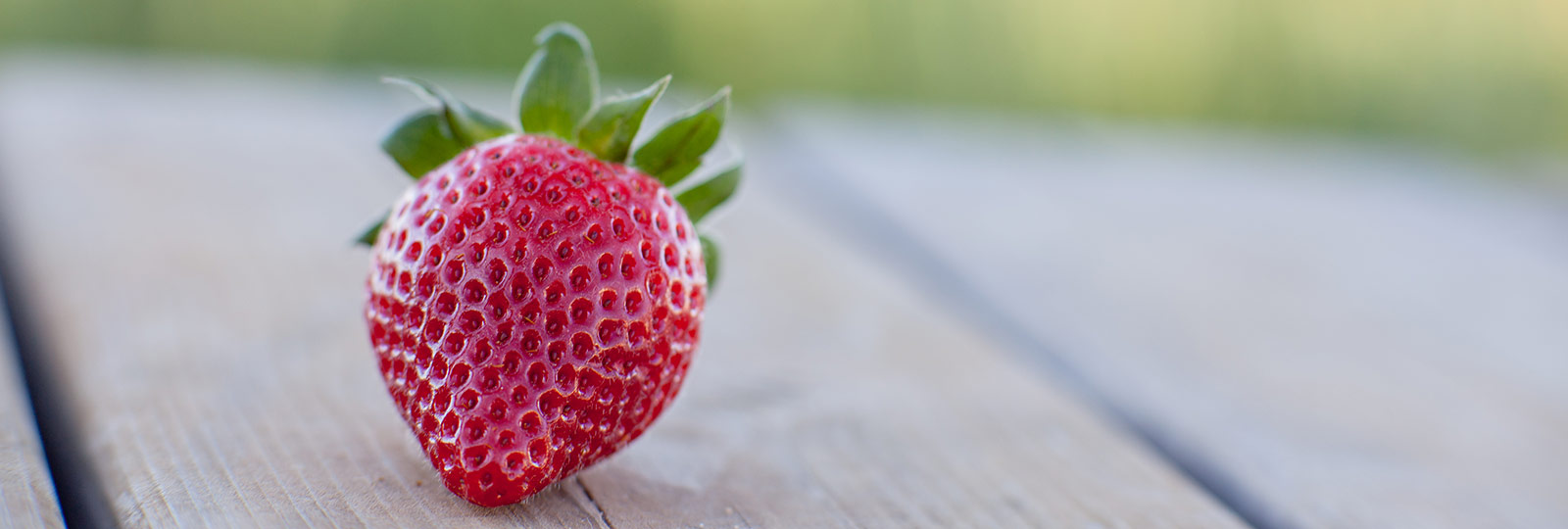 Erdbeeren -SurExport