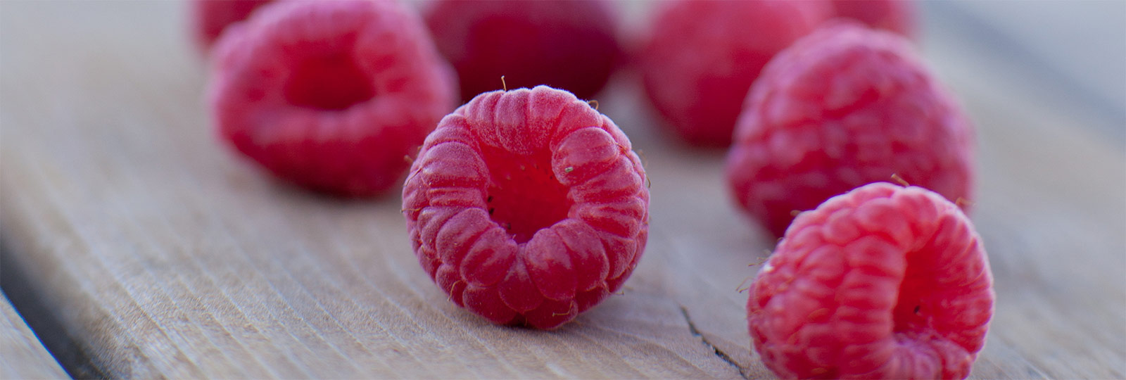 Gesund leben -SurExport